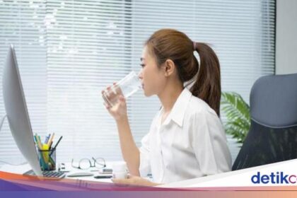 Alasan Pekerja Kantoran Wajib Banyak Minum Air Mineral Berkualitas health