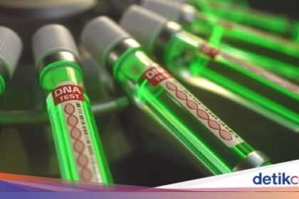 Virus B Mematikan Muncul di Hong Kong, Ini Gejala dan Penularannya health