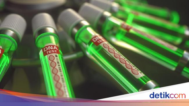 Virus B Mematikan Muncul di Hong Kong, Ini Gejala dan Penularannya health