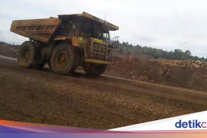 Kempit 34% Saham Vale, MIND ID Dapat Jatah 2 Direksi