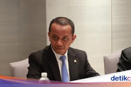 Investasi Asing di IKN Digeber Usai MK Umumkan Putusan Sengketa Pilpres