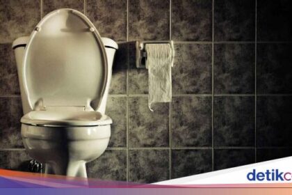 Awas! Bahaya Menahan Pipis Saat Mudik, Infeksi hingga Risiko Kena Ginjal smartly being