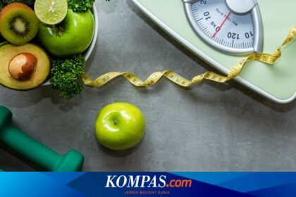 Berbagai Jenis Food scheme Populer, Mana yang Paling Cocok Untukmu? | FBS Forex Bitcoin Inventory