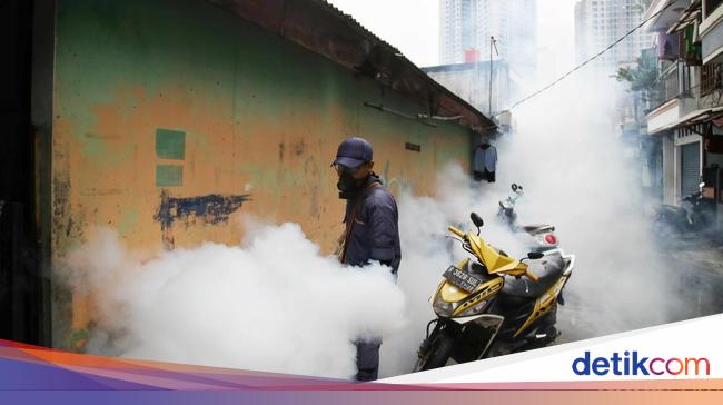 Kemenkes Ungkap ‘Biang Kerok’ Kasus DBD Naik Tajam, Tembus 62 Ribu Kesehatan – FBS Forex Bitcoin Stock