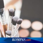 6 Rekomendasi Makeup Brush Lokal yang Bagus, Cocok buat Pemula  | FBS Foreign substitute Bitcoin Stock