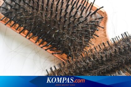 Apa Yang Terjadi Jika Kita Tidak Pernah Membersihkan Sisir Rambut? | FBS Foreign change Bitcoin Stock