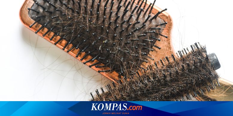 Apa Yang Terjadi Jika Kita Tidak Pernah Membersihkan Sisir Rambut? | FBS Foreign change Bitcoin Stock