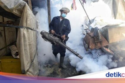 Kasus DBD Naik Drastis, Fogging Digencarkan Kesehatan – FBS Forex Bitcoin Stock