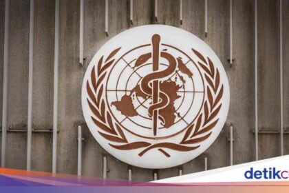 WHO Prihatin Flu Burung di Manusia Makin Luas, Angka Kematian Lampaui 50 Persen Kesehatan – FBS International substitute Bitcoin Stock