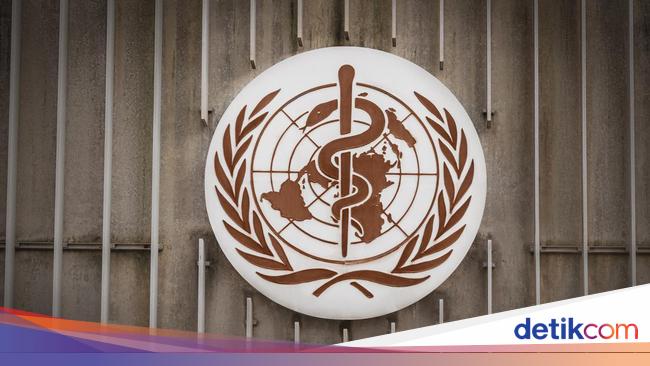 WHO Prihatin Flu Burung di Manusia Makin Luas, Angka Kematian Lampaui 50 Persen Kesehatan – FBS International substitute Bitcoin Stock