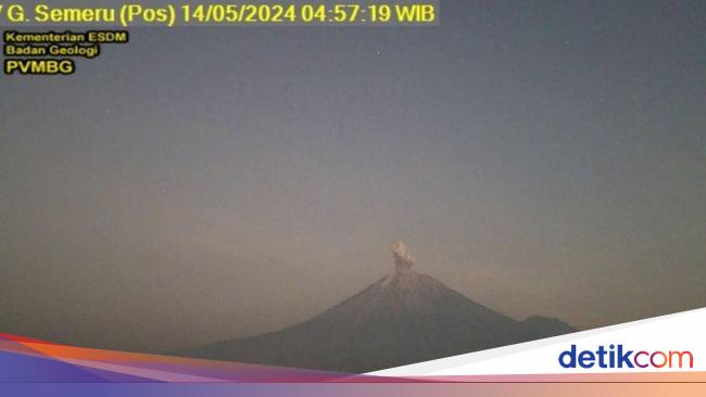 Forexbitcoinstock.com: Gunung Semeru Erupsi Pagi Ini, Letusan Abu Capai 600 Meter dari Puncak