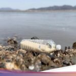 Forexbitcoinstock.com: Kisah Pembelot Korut Kirim Beras dalam Botol untuk Rekan Senegaranya