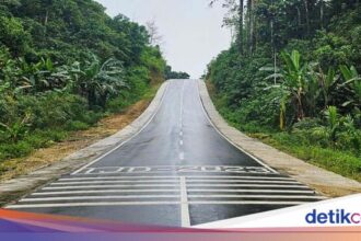 Forexbitcoinstock.com: 4 Ruas Inpres Jalan Daerah di Papua Rampung, Mobil Melaju Mulus – FBS Foreign substitute Bitcoin Stock