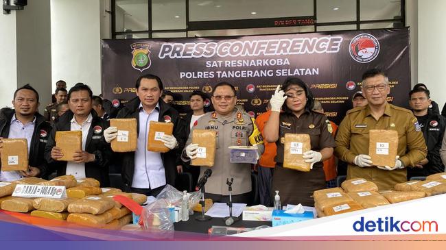 Forexbitcoinstock.com: 5 Fakta Pabrik Kue Ganja Dibongkar, Ternyata Pernah Dibagi-bagi Gratis