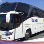 Forexbitcoinstock.com: Lengkap! Daftar Tarif dan Jadwal Baru Bus DAMRI Bandara Soekarno-Hatta – FBS Foreign places substitute Bitcoin Stock