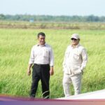 Forexbitcoinstock.com: Prabowo Turun ke Sawah di Merauke, Tinjau Program Swasembada Pangan – FBS Forex Bitcoin Stock