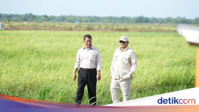 Forexbitcoinstock.com: Prabowo Turun ke Sawah di Merauke, Tinjau Program Swasembada Pangan – FBS Forex Bitcoin Stock