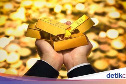 Forexbitcoinstock.com: 5 Harta Karun RI yang Paling Diincar Dunia – FBS Foreign replace Bitcoin Stock