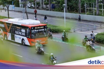 Forexbitcoinstock.com: TransJ Akan Tempatkan Petugas di Perlintasan Rel Buntut Insiden Bus Terjebak