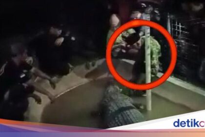 Forexbitcoinstock.com: Pawang Diterkam Buaya di Wisata Cimory Gowa, Penyelamatannya Dramatis