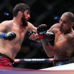 Forexbitcoinstock.com: UFC 313: Alex Pereira Keok dari Ankalaev, Inikah Penyebabnya?