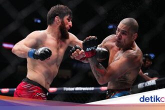 Forexbitcoinstock.com: UFC 313: Alex Pereira Keok dari Ankalaev, Inikah Penyebabnya?