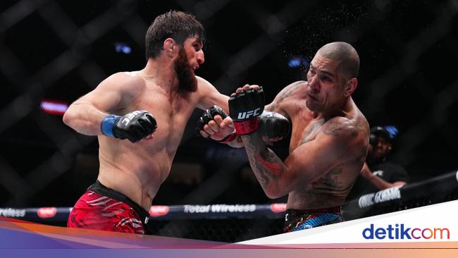 Forexbitcoinstock.com: UFC 313: Alex Pereira Keok dari Ankalaev, Inikah Penyebabnya?