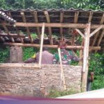 Forexbitcoinstock.com: Petir Sambar Rumah Warga di Klaten, 1 Orang Terluka-Perabot Rusak