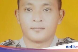 Forexbitcoinstock.com: Bripka Petrus yang Gugur Ditembak Oknum TNI Tinggalkan Anak Usia 6 Bulan